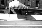IMG_7262.jpg