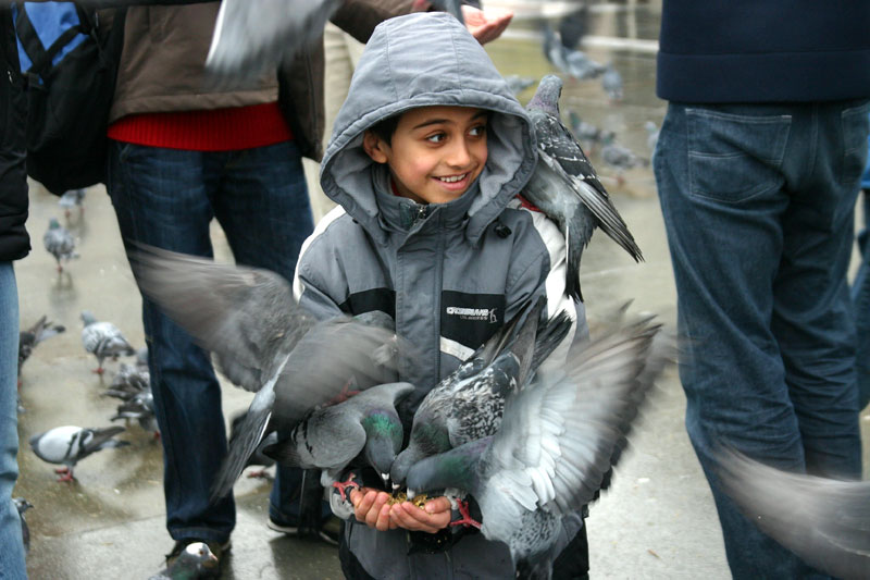 A BIRD IN THE HAND
