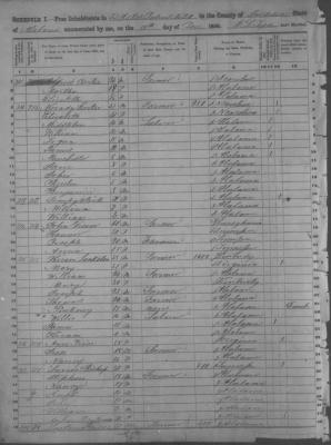 Hiram Langston 1850 Census Jackson Co AL.jpg