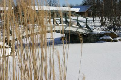 Cox Arboretum in the winter