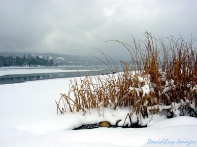 Big Bear, Ca.