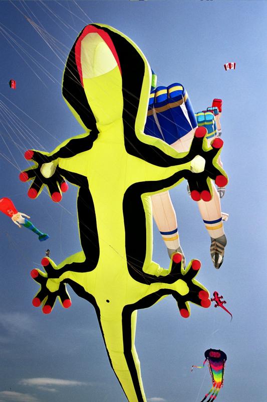 Coupe du monde 2004 de cerfs-volants à Berck sur Mer