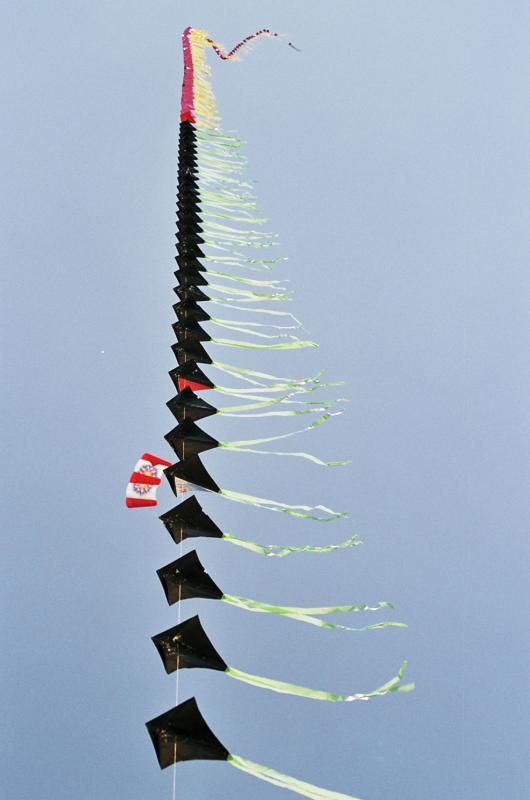 Coupe du monde 2004 de cerfs-volants  Berck sur Mer