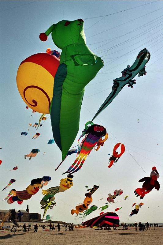 Coupe du monde 2004 de cerfs-volants à Berck sur Mer