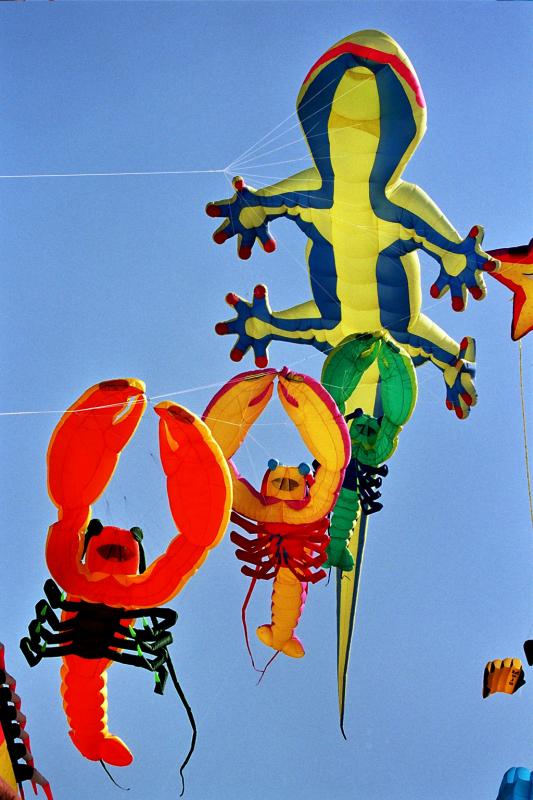 Coupe du monde 2004 de cerfs-volants  Berck sur Mer