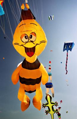 Coupe du monde 2004 de cerfs-volants  Berck sur Mer