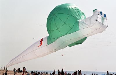 Coupe du monde 2004 de cerfs-volants  Berck sur Mer