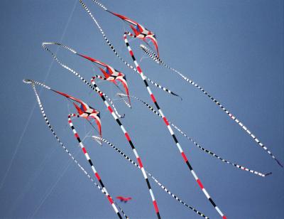 Coupe du monde 2004 de cerfs-volants  Berck sur Mer