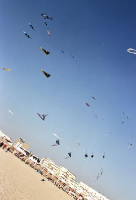 Coupe du monde 2004 de cerfs-volants  Berck sur Mer