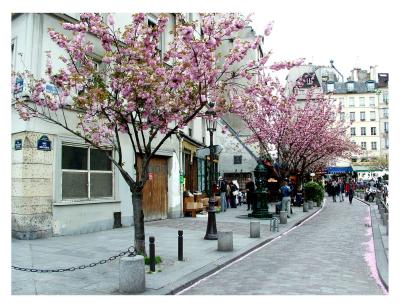 spring in the quartier latin