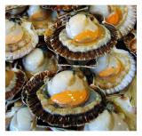 fruits de mer