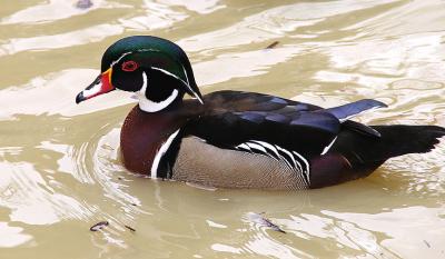 IMG_4156_2.jpg