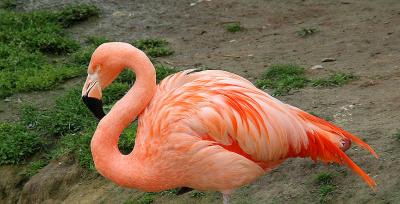 IMG_4161_2.jpg