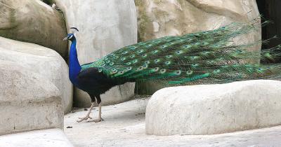 IMG_4275_2.jpg