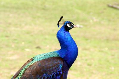 IMG_4272_2.jpg