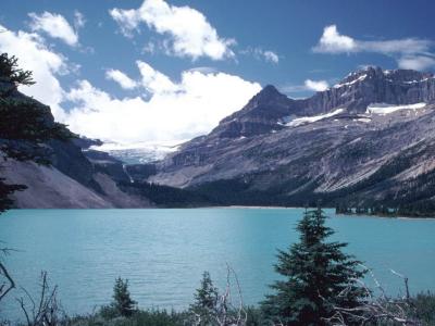 Bow lake.jpg
