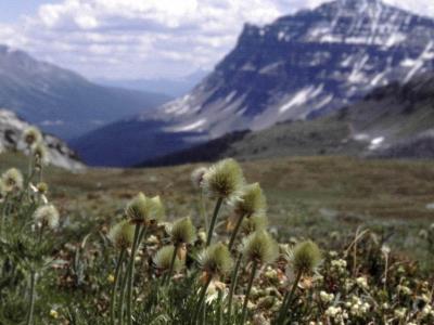 Dolomite pass.jpg