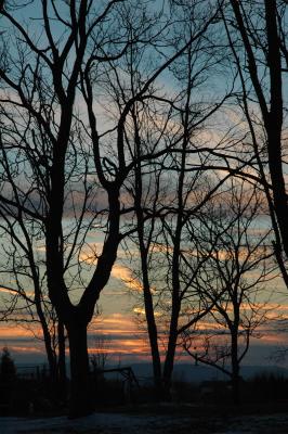 u17/donna_lear/medium/39258664.January31.jpg