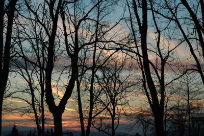 u17/donna_lear/medium/39258675.January312.jpg