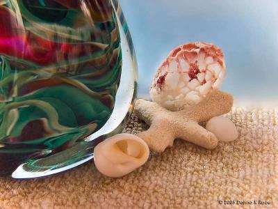 Photographing Beachcombings...the first attempts