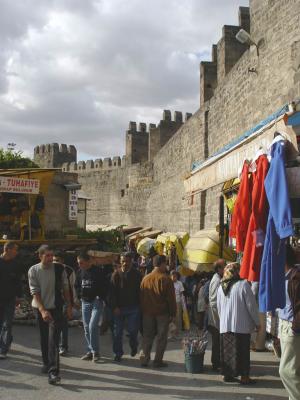 Kayseri at city walls 2556
