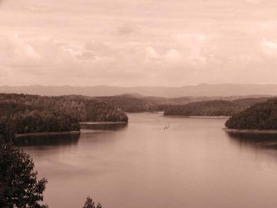 Sepia 16mm