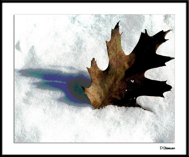 2/8/05 - Yet another forlorn object