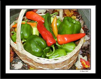 peppers.jpg