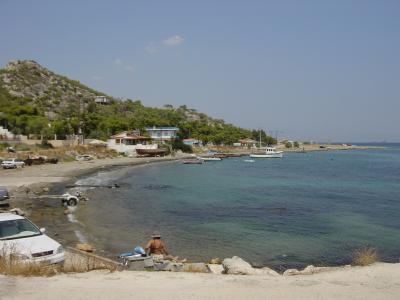 Peristeria, Salamina