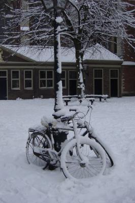 Dutch bikes in snow