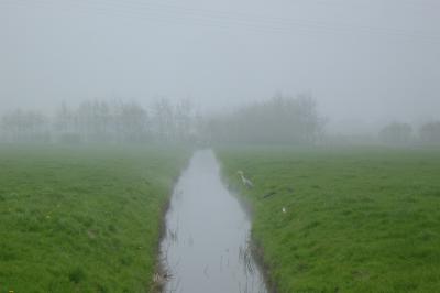 Misty Polder near Lisse