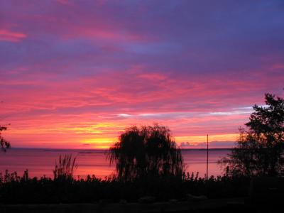 Morning in the Northern Neck
