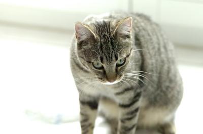 Beutel watchful 1.jpg