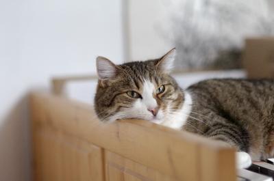 Wunderl mistrustful.jpg