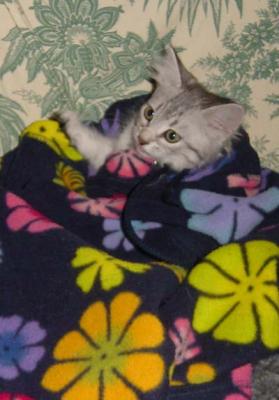 Anoushka having fun with sweater!