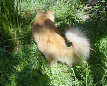 Hunting
