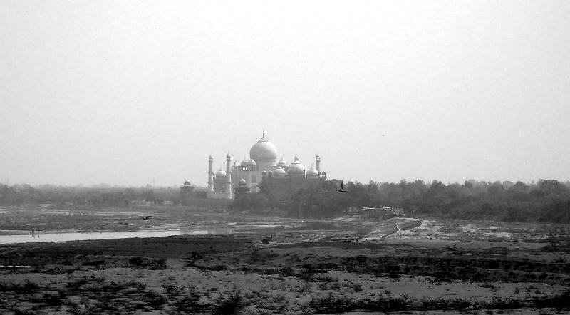 Taj Afar