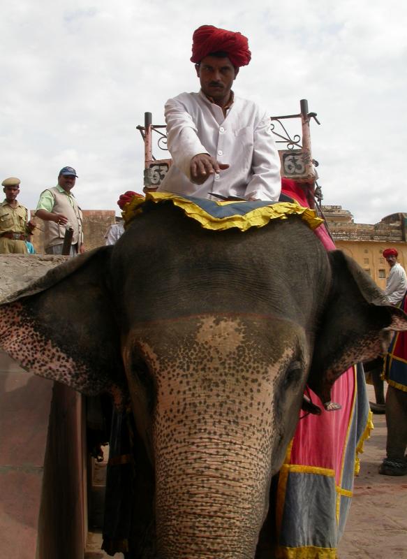 Mahout