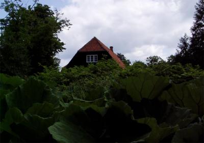 hus m. skrpper.JPG