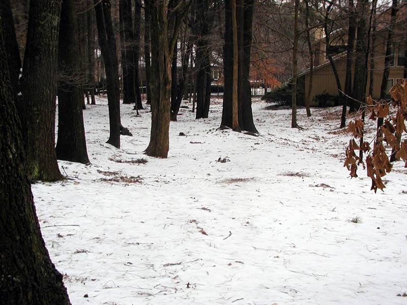 ice 18.jpg