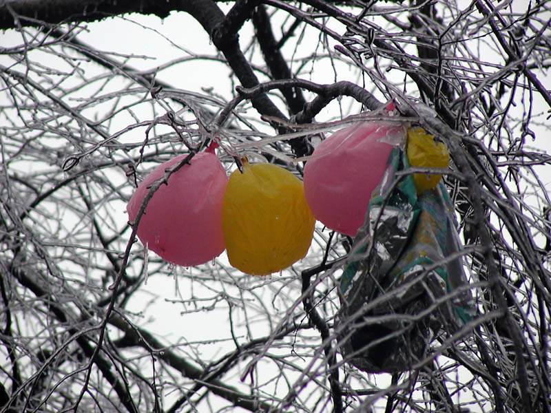 frozen festivities.jpg