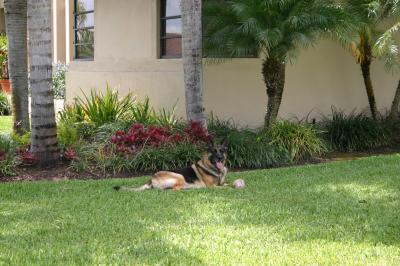 Dukey taking a break.