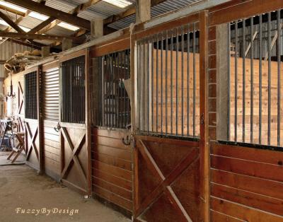 dsc05214 sample natural front stalls.jpg