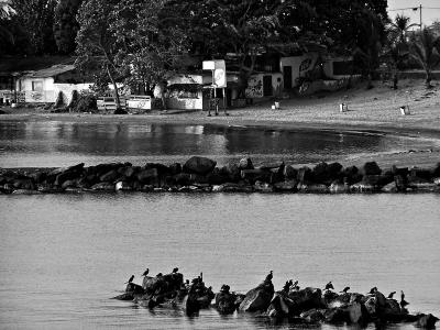 u17/fvillegas/medium/42387509.P4171740bw.jpg