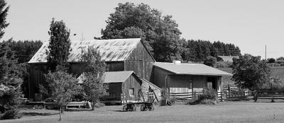 Lakeshore barn