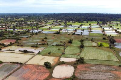Paddy fields around Angkor Thom, viewed from a balloon