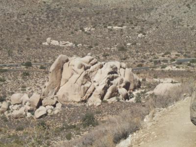 Jumbo Rocks 3