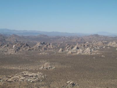 Landscape 1