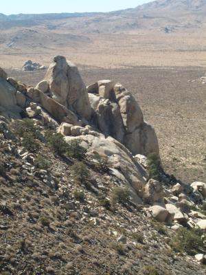 Landscape 2