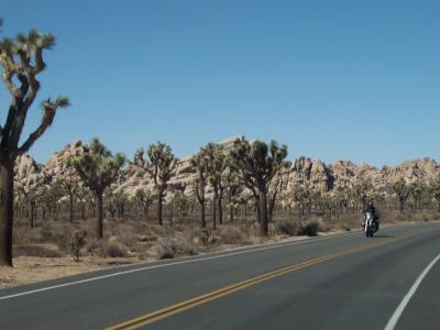 Landscape 3